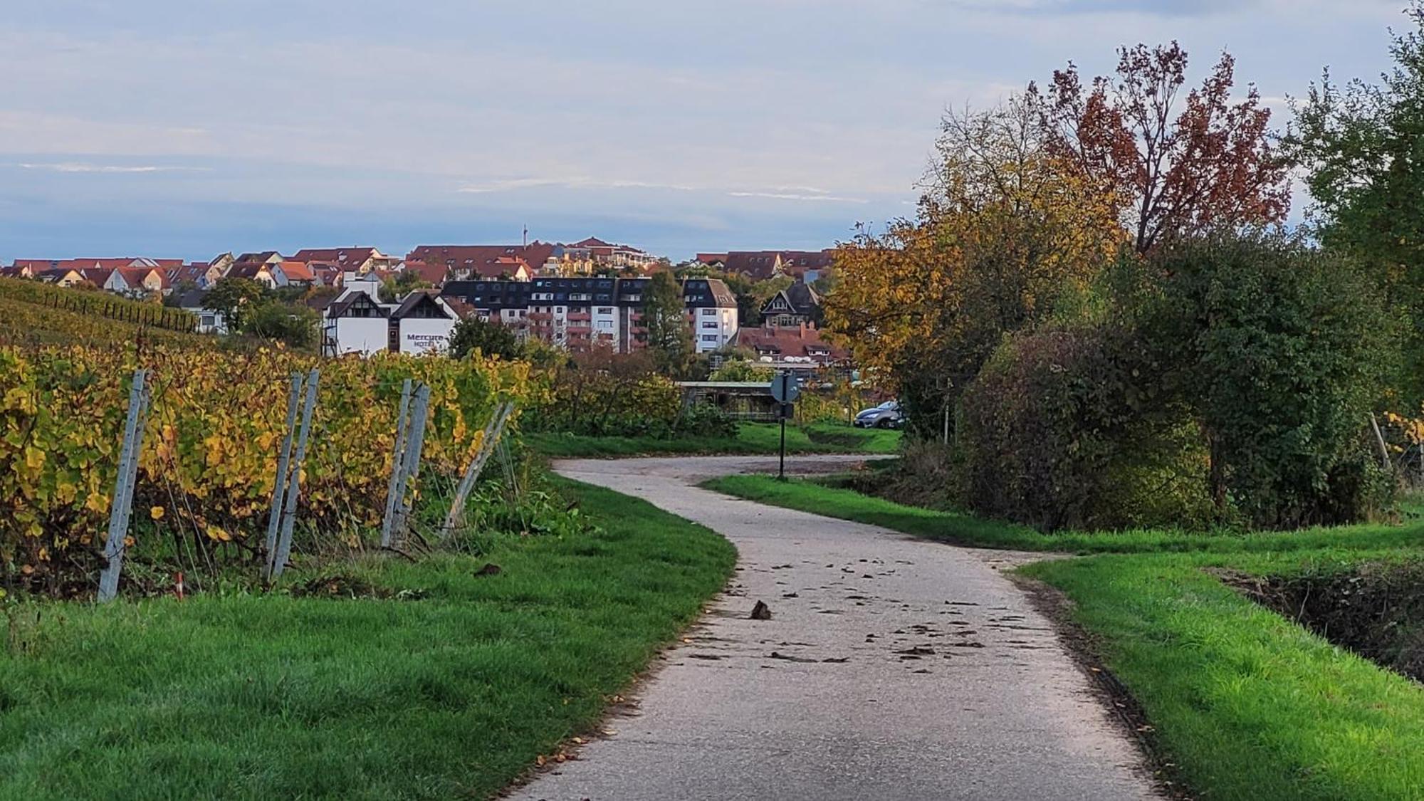 Ihr Bett Mit Blick Auf Die Weinberge Bad Dürkheim Dış mekan fotoğraf